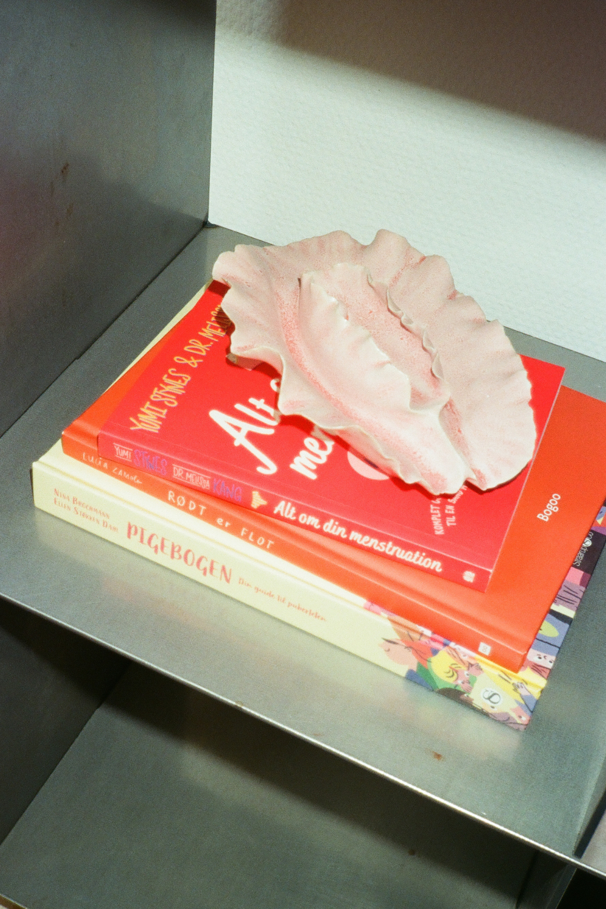 'It's Just Blood (Your First Book About Menstruation)'